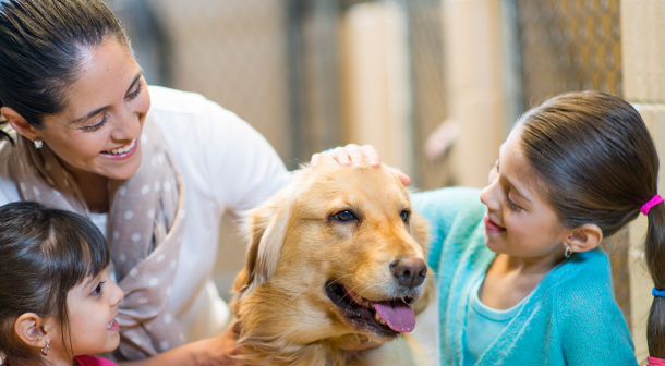 The American Kennel Club has some great information of dogs that are best for kids.