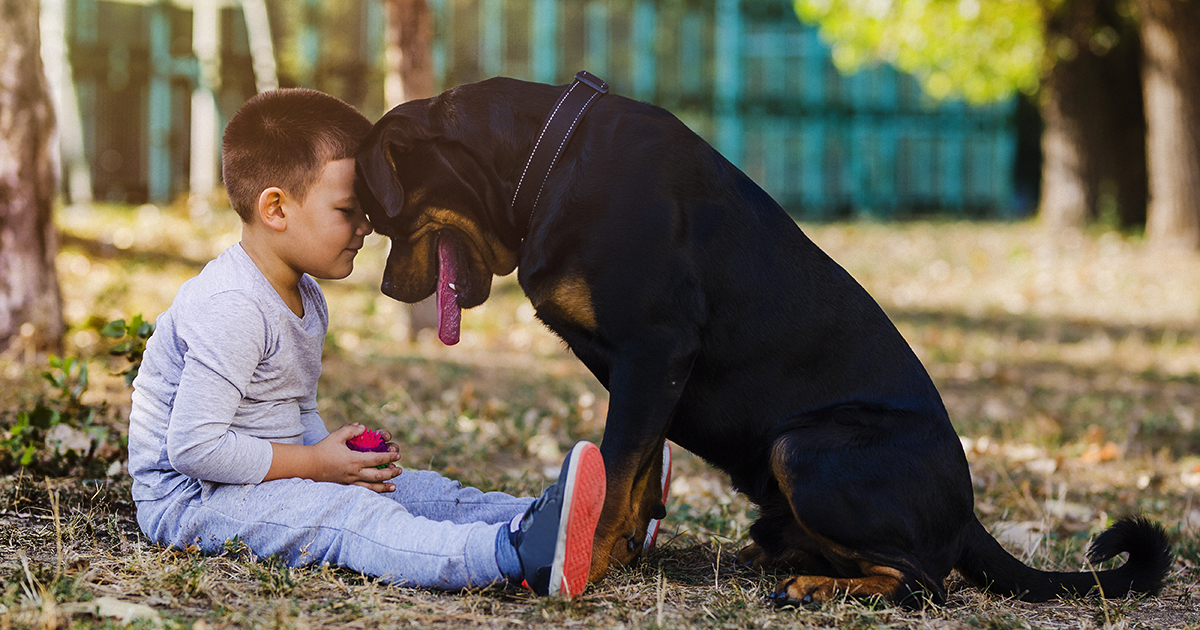 Kids playing hot sale with pets