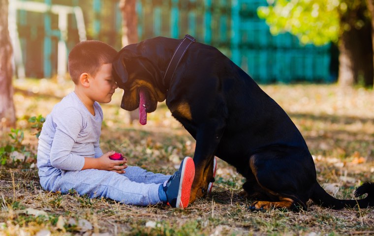 Is your child ready for a pet?