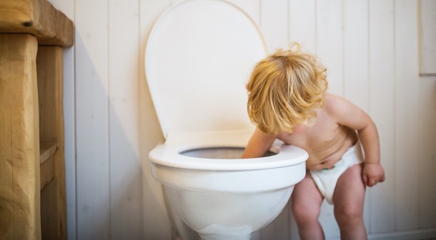 Toilets can be dangerous for little ones. Keep lids shut.